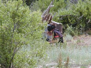 OSI 042