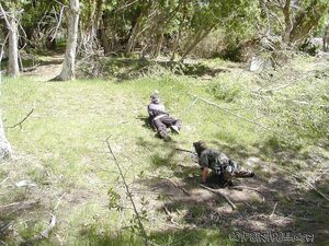 MileMarker 050804 020