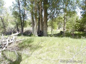 MileMarker 050804 022