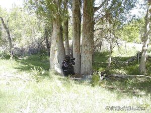 MileMarker 050804 023