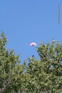 AliensVI 047