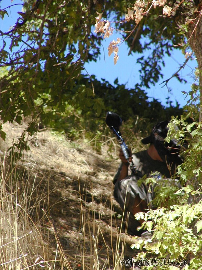 AliensV 036