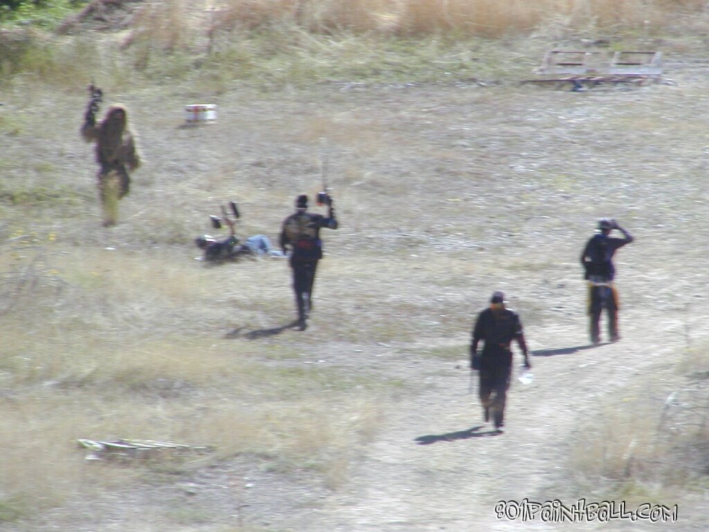 AliensV 087