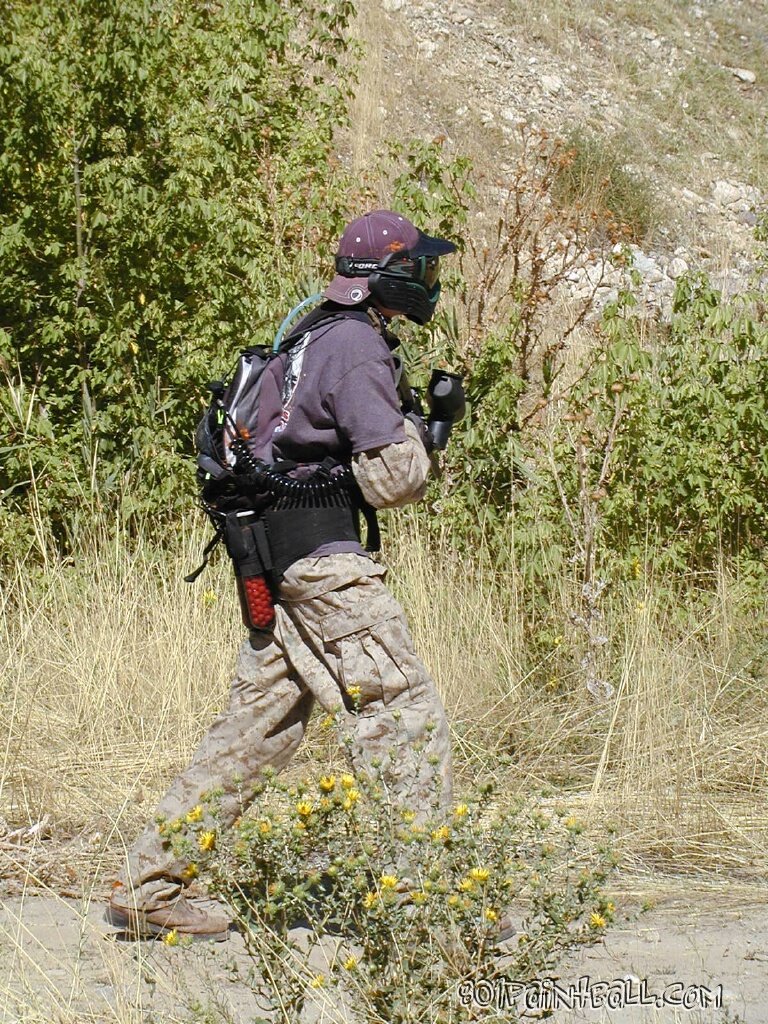 AliensV 142