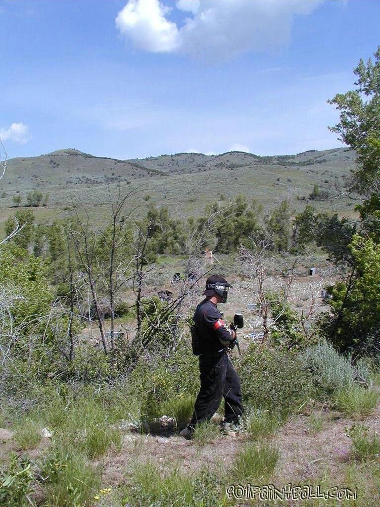 OSI 024