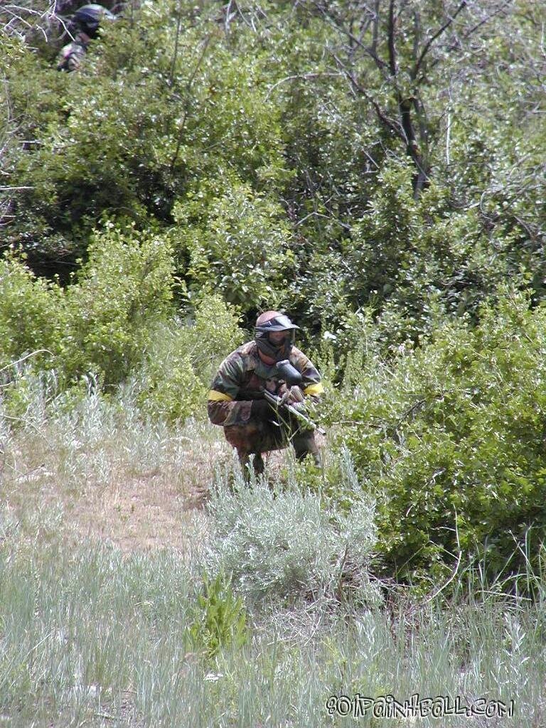 OSI 043