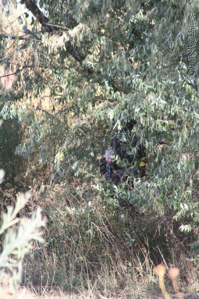 Smugglers05 034
