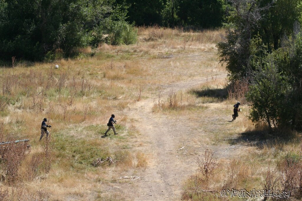 AliensVI 070