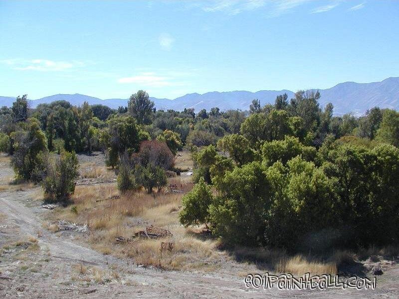AliensIV 008
